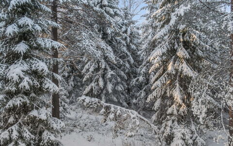 Vaarapirtti Tähti: Legna, Casa, Neve, Villetta, Casa, Inverno, Tetto, Congelamento, Raccordo, Pendenza