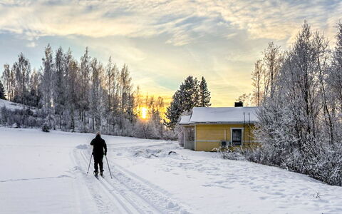 Villa-Lyydia: Neve, Inverno, Albero, Congelamento, Mattina, Pendenza, Larice, Ghiaccio, Sera, Brina