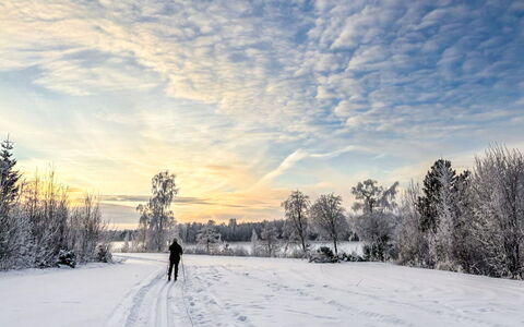 Villa-Lyydia: Cielo, Neve, Inverno, Ramo, Nube, Congelamento, Ricreazione, Luce Del Sole, Alba, Mattina