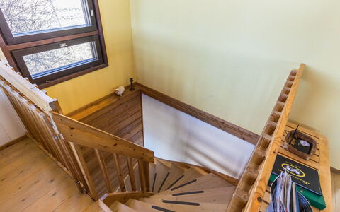 Villa-Lyydia: Legna, Villetta, Log Cabin, Foresta, Capannone, Edifici Giardino, Larice, Woodland, Color Legno