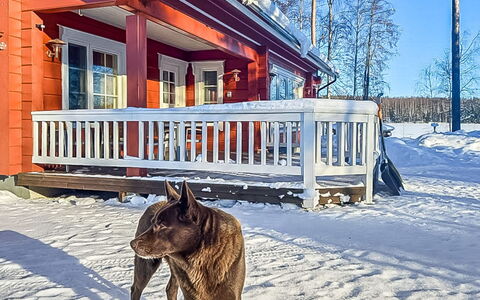Kuikanranta: Villetta, Casa, Casa, Edifici Giardino, Raccordo, Log Cabin, Agriturismo, Estate, Capannone, Cortile