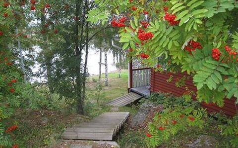 Järvenranta: Villetta, Casa, Casa, Edifici Giardino, Raccordo, Log Cabin, Agriturismo, Estate, Capannone, Cortile