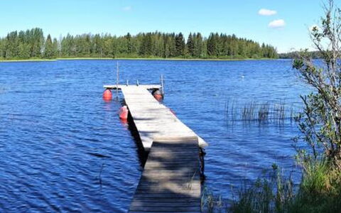 Niittylahti: Legna, Raccordo, Villetta, Casa, Casa, Plank, Edifici Giardino, Log Cabin, Latifoglie, Portico