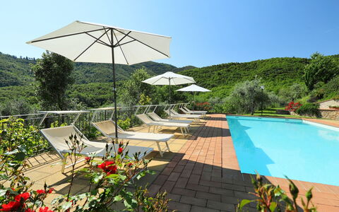 Zen: Piscina, Proprietà, Ricorrere, Vacanza, Botanica, Tempo Libero, Costruzione, Shade, Casa, Albero