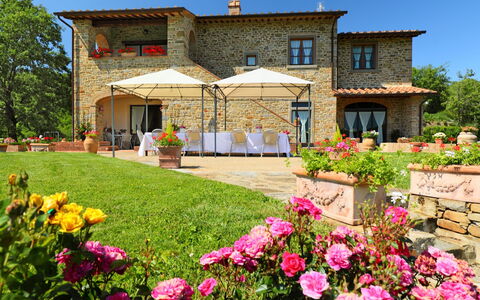 Zen: Proprietà, Casa, Casa, Costruzione, Giardino, Immobiliare, Fiore, Villetta, Pianta, Botanica
