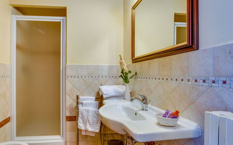 Zen: Specchio, Rubinetto, Idraulico Fixture, Lavello, Pianta, Proprietà, Lavandino Del Bagno, Fotografia, Bagno, Viola