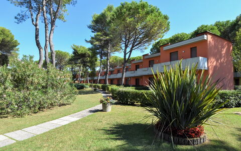 Bibione 380: Pianta, Cielo, Giorno, Comunita 'Impianto, Albero, Foglia, Lotto, Shade, Arecales, Paesaggio Naturale