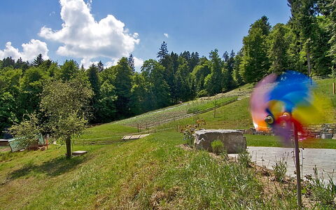 Egggraben: Erba, Biome, Albero, Cielo, Pascolo, Prato, Catena Montuosa, Ricreazione, Estate, Lotto