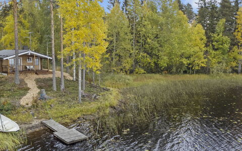 Lahdenpohja, Vaikon Loma 7: Acqua, Albero, Corpo D'Acqua, Ambiente Naturale, Natura, Paesaggio Naturale, Banca, Paesaggio, Foresta