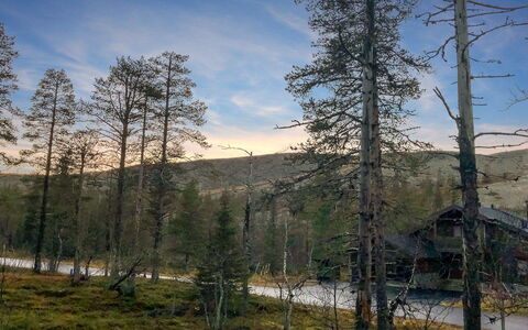 Utsunusko a: Legna, Neve, Inverno, Villetta, Congelamento, Casa, Log Cabin, Larice, Raccordo
