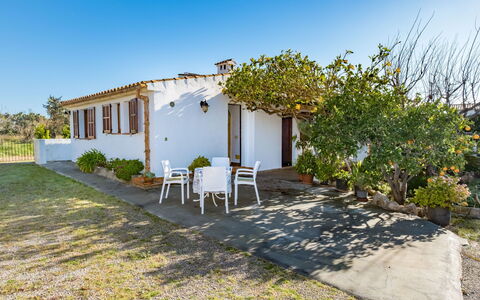 Can Niu: Proprietà, Casa, Immobiliare, Casa, Costruzione, Zona Residenziale, Estate, Albero, Cielo, Facciata