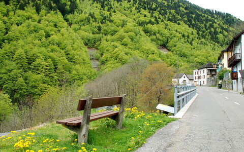 Vergeletto 100: Natura, Vegetazione, Albero, Primavera, Erba, Montagna, Hill Station, Area Rurale, Pianta, Banco