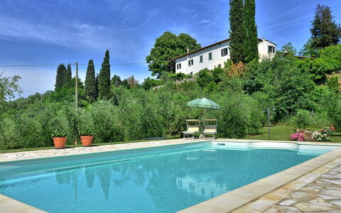 Villa Buonaparte: Piscina, Proprietà, Paesaggio Naturale, Immobiliare, Costruzione, Casa, Estate, Tempo Libero, Villa, Vacanza