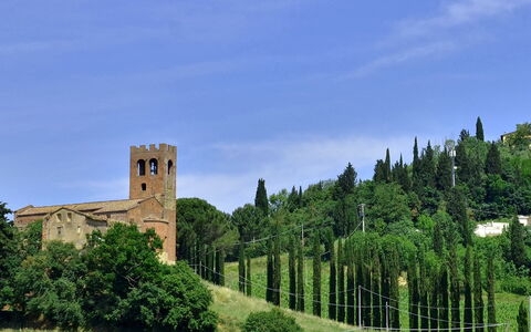 Villa Buonaparte: Paesaggio Naturale, Castello, Cielo, Albero, Costruzione, Fortificazione, Architettura, Storia, Erba