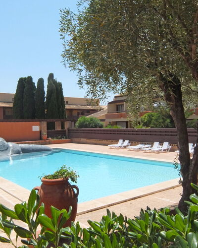 Saint Cyprien 810
