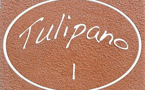 Alloggio:&nbsp;Tulipano