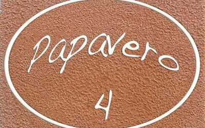 Papavero