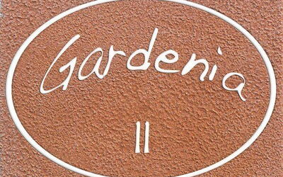 Gardenia