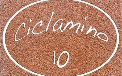 Ciclamino