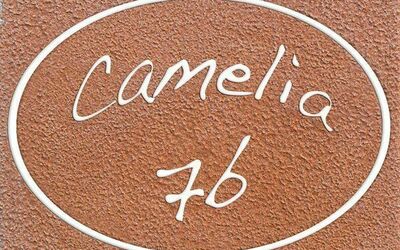 Camelia