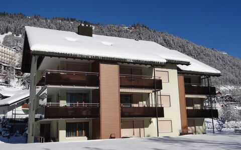 Engelberg 787: Inverno, Neve, Congelamento, Geomorfologia Glaciale, Paesino Di Montagna, Balcone, Illuminazione Diurna, Alpi