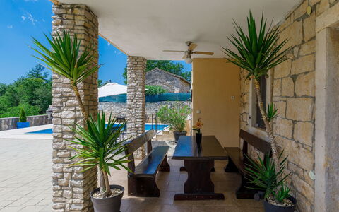 Šterna: Pianta, Proprietà, Vaso Di Fiori, Pianta Della Casa, Cielo, Interior Design, Shade, Arecales, Erba, Immobiliare