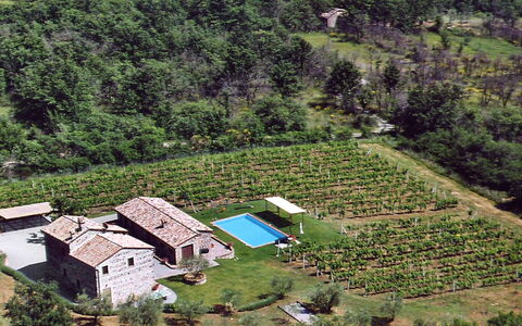 Val D'Orcia: Hill Station, Paesaggio Naturale, Paesino Di Montagna, Area Rurale, Insediamento Umano, Paesaggio, Villaggio, Casa, Visione Globale, Albero