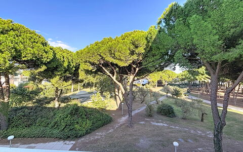 Le Saint Clair: Foglia, Albero, Ramo, Vegetazione, Arbusto, Woody Impianto, Tronco, Giardino, Shade, Prato