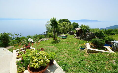 Josip: Vegetazione, Proprietà, Immobiliare, Comunita 'Impianto, Lotto, Pianta, Erba, Albero, Area Rurale, Giardino