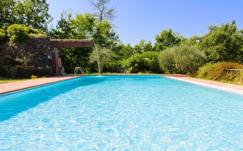 La Casetta nel Bosco: Estate, Agriturismo, Giardino, Landscaping, Hacienda, Prato, Villa, Cortile, Backyard, Dimora
