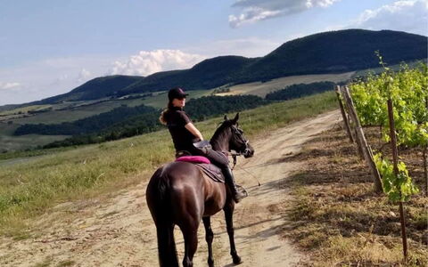 La Casetta nel Bosco: Cavallo, Cielo, Nube, Pianta, Montagna