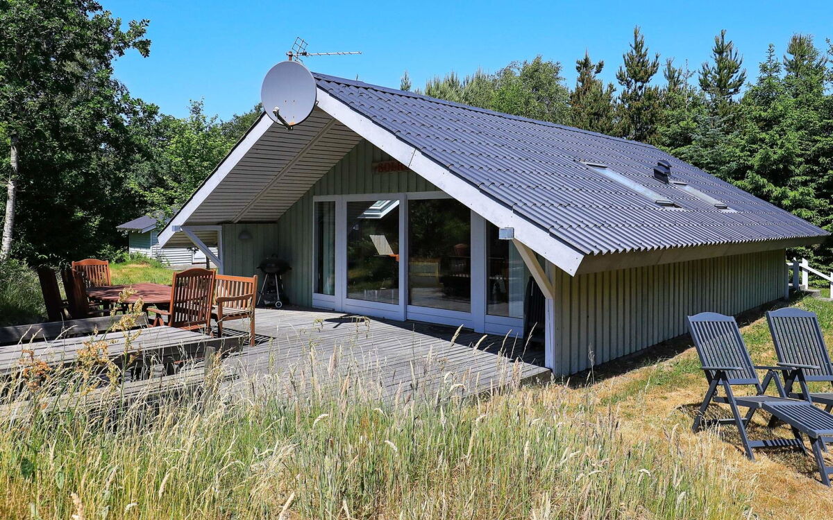 Søndervig Lodbjerg Hede