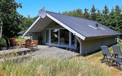 Søndervig Lodbjerg Hede