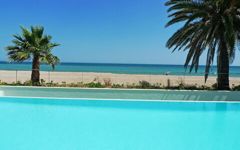 Marenia: Piscina, Blu, Vacanza, Albero, Tropici, Palma, Cielo, Caraibico, Mare, Azzurro