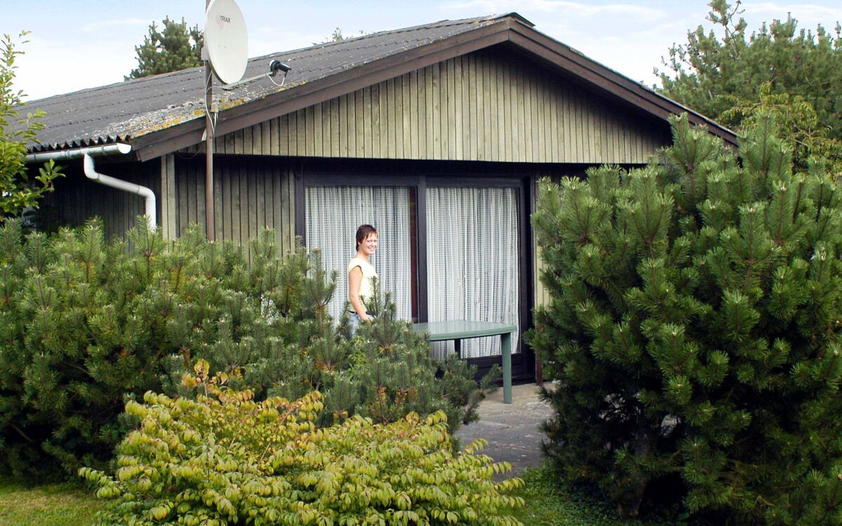 Høll