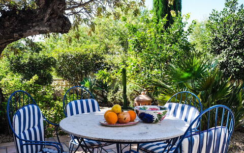 Mirada al Sol: Proprietà, Backyard, Albero, Immobiliare, Mobilia, Terrazza, Tavolo, Cortile, Casa, Giardino