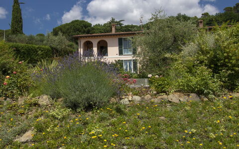 Olindia: Vegetazione, Proprietà, Casa, Paesaggio Naturale, Botanica, Comunita 'Impianto, Immobiliare, Giardino, Albero, Area Rurale