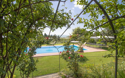 Olindia: Albero, Immobiliare, Pianta, Architettura, Botanica, Primavera, Woody Impianto, Erba, Casa, Area Rurale