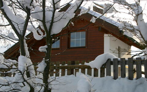 Seekarblick: Costruzione, Neve, Finestra, Casa, Mondo, Pianta, Ramoscello, Albero, Legna, Biome