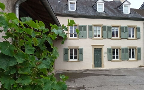 Greiweldenger Leit As: Pianta, Finestra, Costruzione, Casa, Cielo, Quartiere, Immobiliare, Villetta, Porta