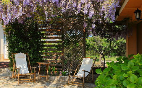 Marina: Terrazza, Proprietà, Albero, Pianta, Immobiliare, Giardino, Botanica, Primavera, Cortile, Fiore