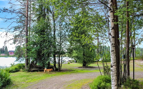 Hamppulahti: Villetta, Casa, Casa, Edifici Giardino, Raccordo, Log Cabin, Agriturismo, Estate, Capannone, Cortile