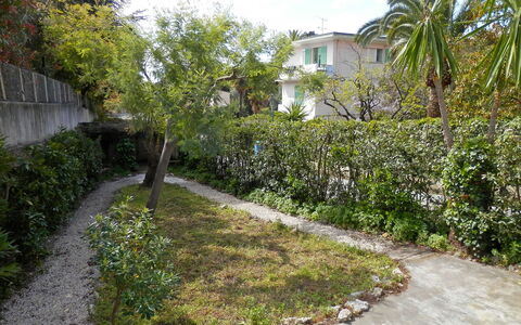 Villa Esmeralda: Vegetazione, Proprietà, Immobiliare, Albero, Botanica, Giardino, Zona Residenziale, Casa, Arbusto, Pianta