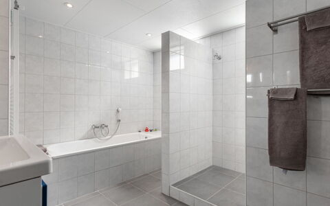 Zeeuws-Vlaanderen: Bagno, Idraulico Fixture, Doccia, Interior Design, Doccia Porta, Costruzione, Pavimentazione, Pavimento, Soffione Doccia