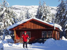 Vrådal