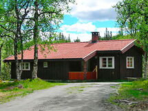 Nesbyen