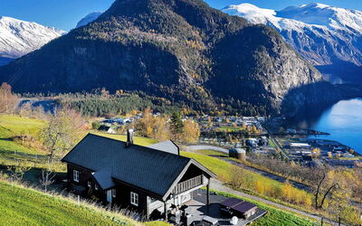Lingås