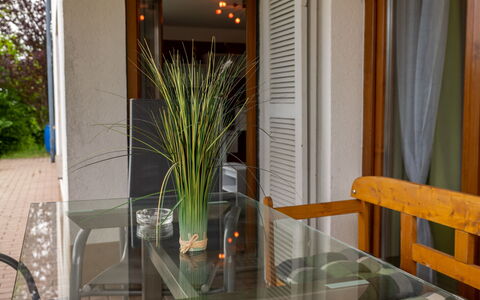 Langes Leben al Khalid: Pianta, Proprietà, Vaso Di Fiori, Legna, Pianta Della Casa, Interior Design, Finestra, Tenda, Sedia