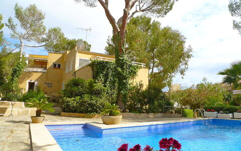 Santa Ponça: Piscina, Proprietà, Ricorrere, Costruzione, Immobiliare, Casa, Tempo Libero, Vacanza, Albero, Villa