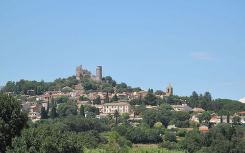 Grimaud 131: Albero, Vegetazione, Insediamento Umano, Villaggio, Sobborgo, Paesino Di Montagna, Orizzonte